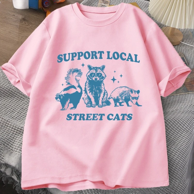 Yerel Sokak Kedilerinizi Deste - Fashion Street Cat incelemesi ve fiyatı