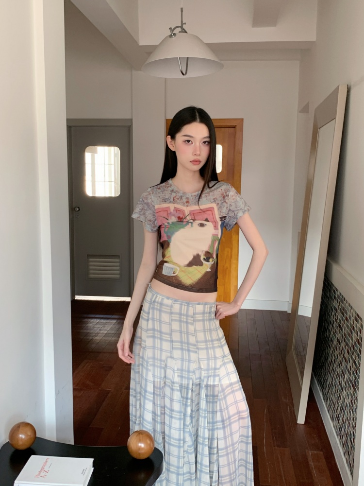CHEERART Kedi Duvar Yaz Örgü Ü - Fashion Street Cat incelemesi ve fiyatı