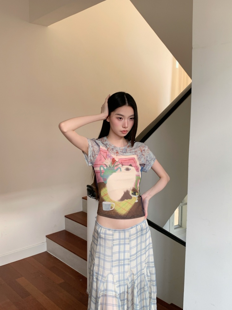 CHEERART Kedi Duvar Yaz Örgü Ü - Fashion Street Cat incelemesi ve fiyatı